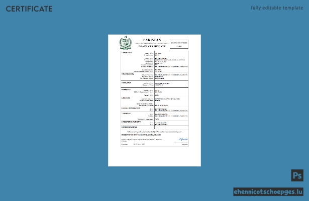 Pakistanische Sterbeurkunde – Beispielansicht (Word und PDF)